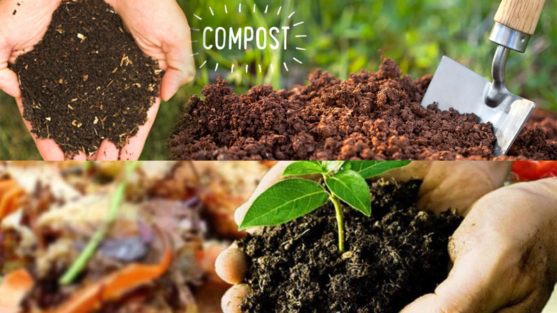 Compost