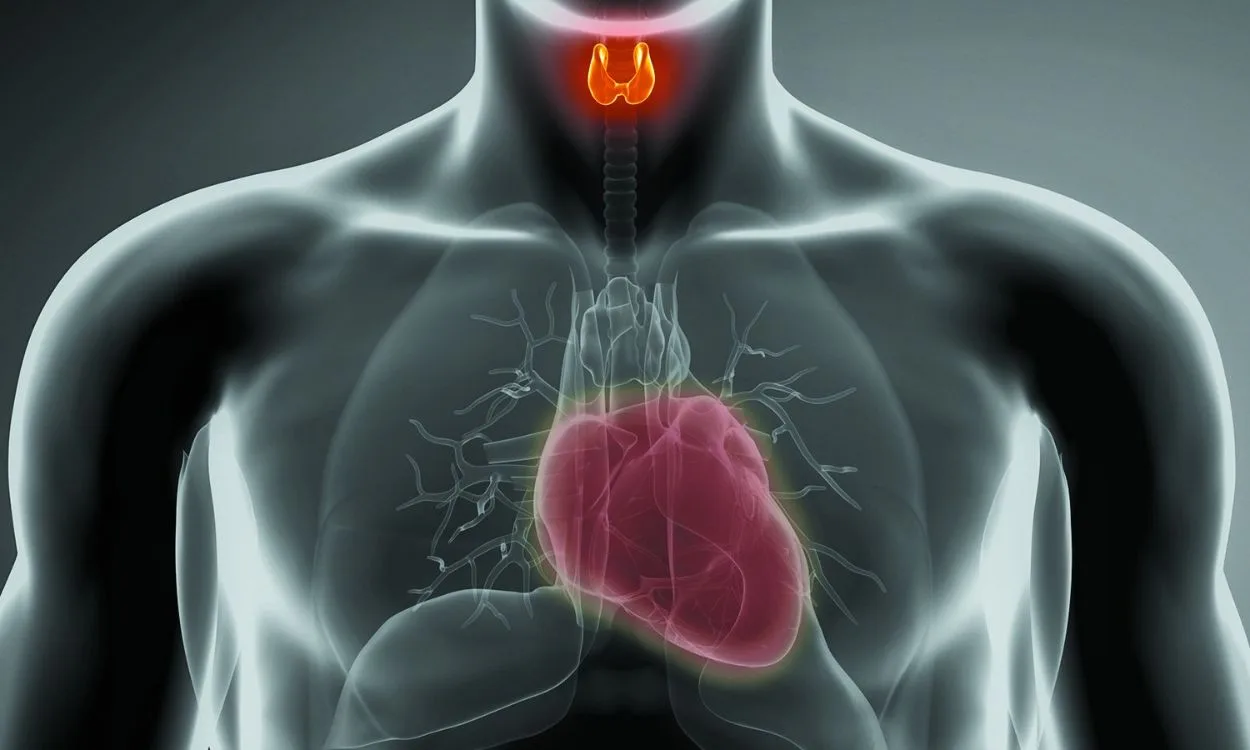 why-timely-diagnosis-matters-in-thyroid-and-heart-conditions