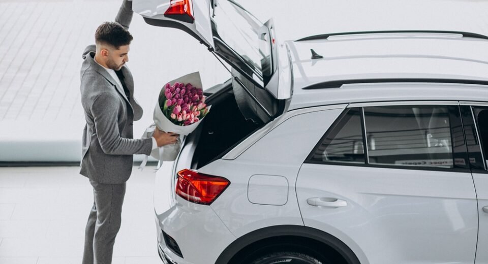 Hyundai Recall